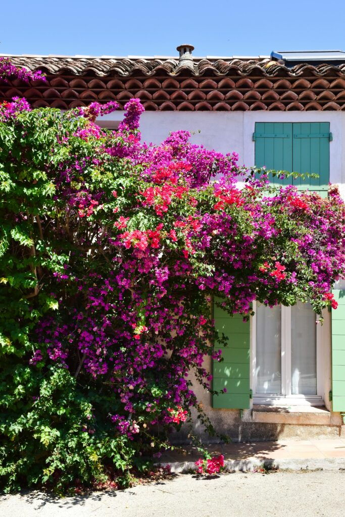 pexels-axp-photography-500641970-29942643